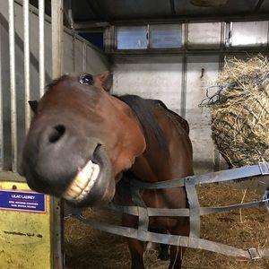 Meet your Posher, Danell